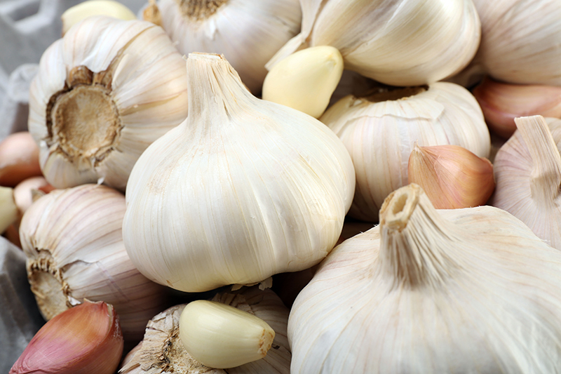 Knoblauch